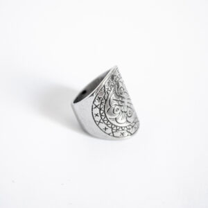 Anillo Magnus